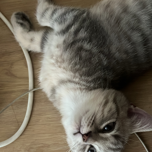 Krurki
